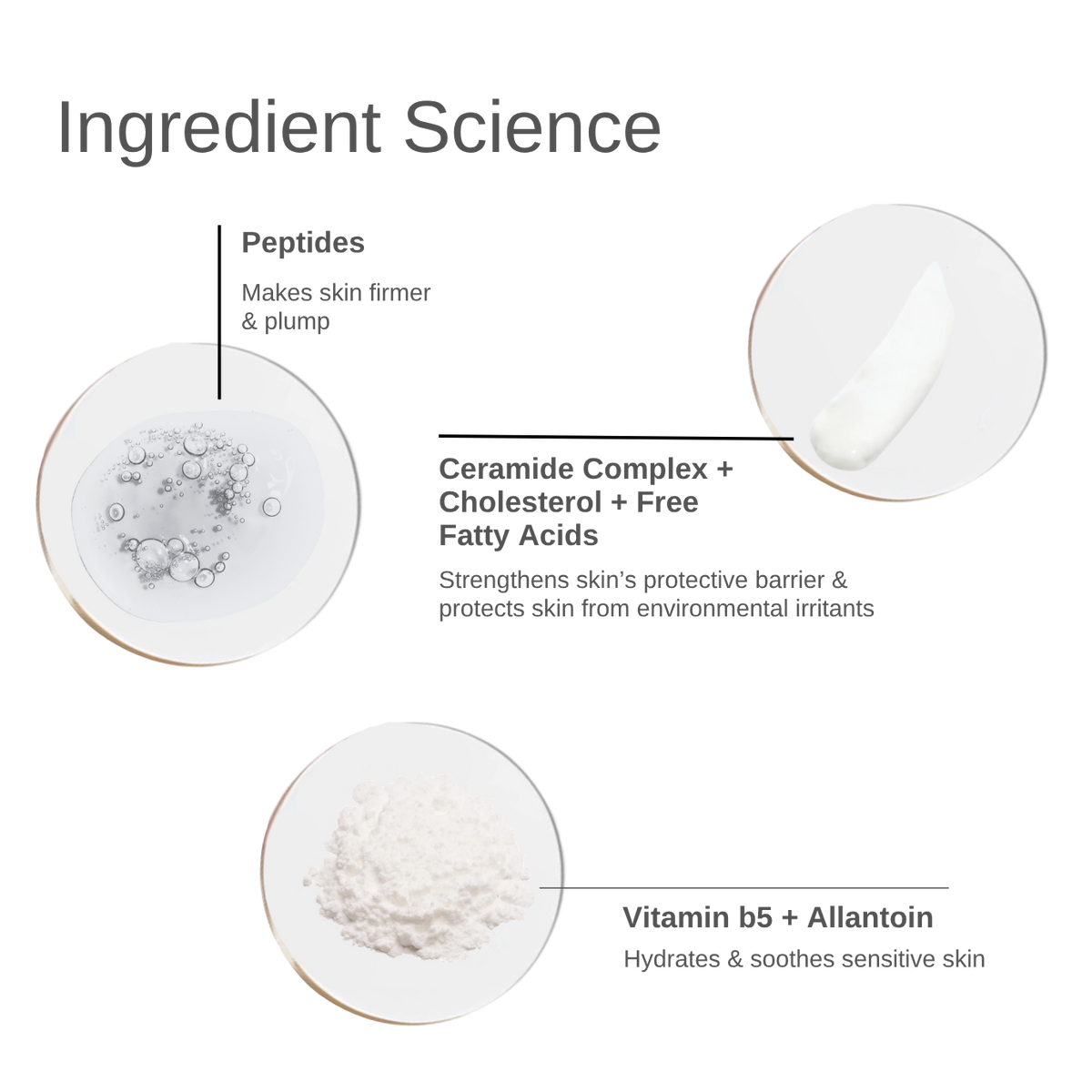 Barrier Plus Peptide Ceramide Moisturizer
