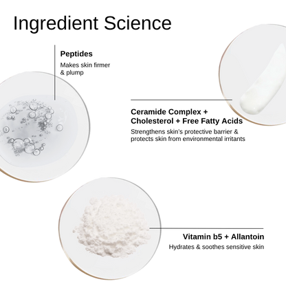 The Formularx Barrier Plus Peptide Ceramide Moisturizer Ingredients