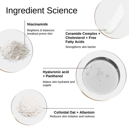The_Formularx_Barrier_Relief_Lightweight_Ceramide_Moisturizer_key_ingredients